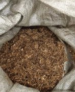 废弃菌包巧利用 大麦虫产业付就乡村循环农业增收路