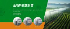 康代菌：共创绿色未来，生态农业领域招商合作全面启动